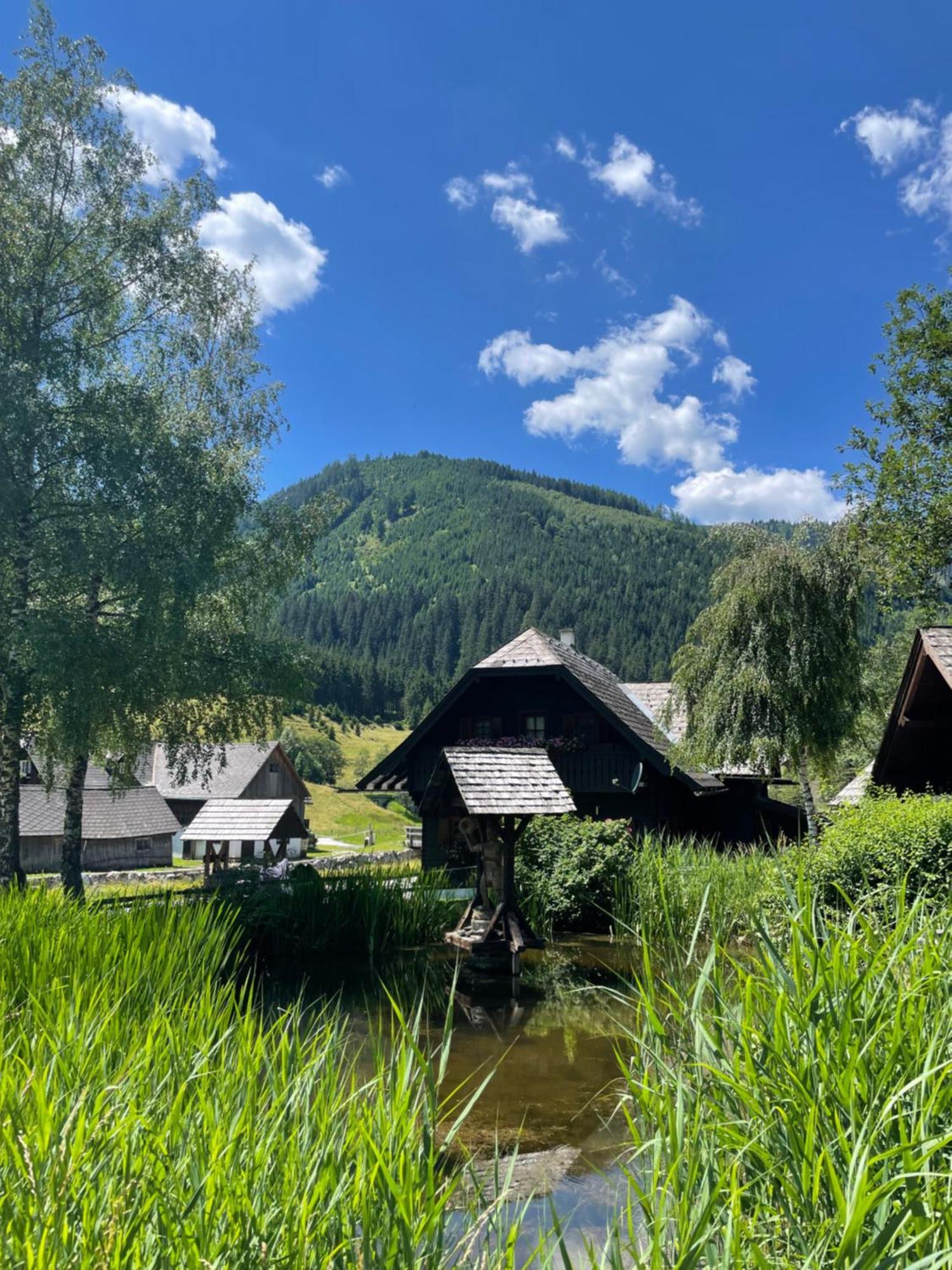Ferienhaus Bettina Rassis Feriendorf Donnersbachwald Exteriör bild
